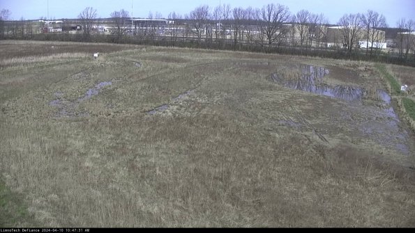 Cell 3_24-04-10_10-47-32-32