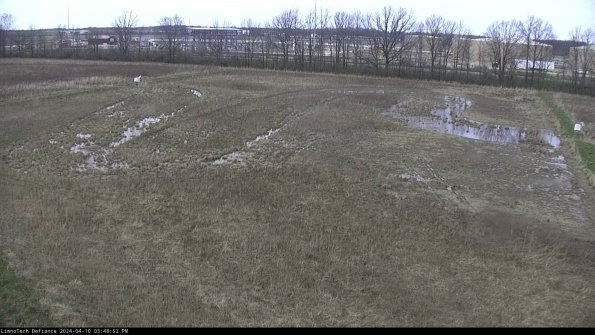 Cell 3_24-04-10_15-48-52-57