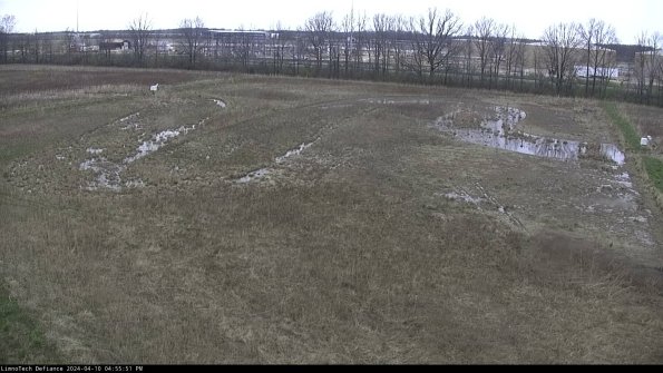 Cell 3_24-04-10_16-55-51-57