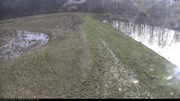 Cell 4 to Basin_24-04-10_09-07-52-31