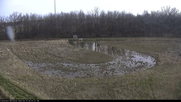 Cell 4_24-04-10_09-07-22-32