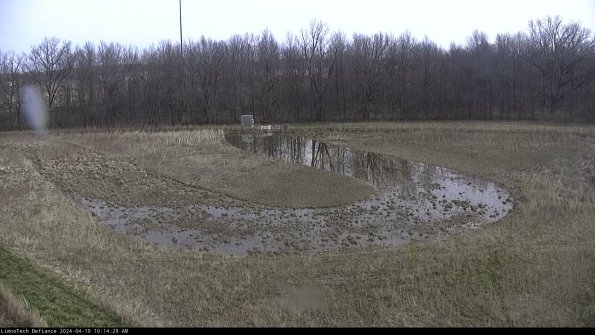 Cell 4_24-04-10_10-14-30-30