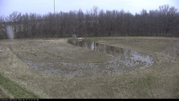 Cell 4_24-04-10_11-21-28-31