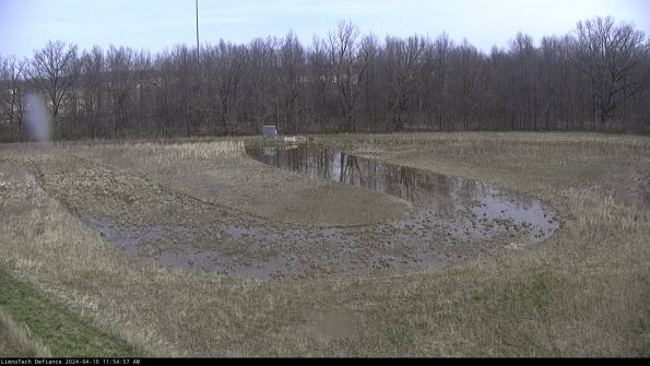 Cell 4_24-04-10_11-54-58-32