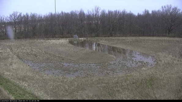 Cell 4_24-04-10_12-28-27-31