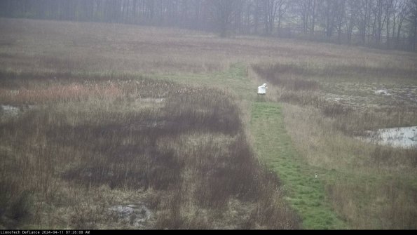 Cell 1 to 2_24-04-11_07-26-09-33