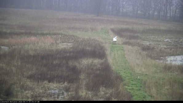 Cell 1 to 2_24-04-11_07-59-38-32