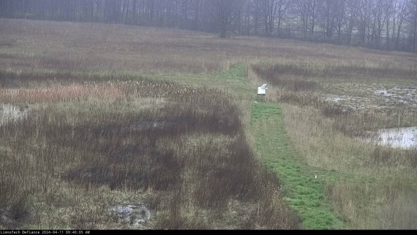 Cell 1 to 2_24-04-11_09-40-06-33