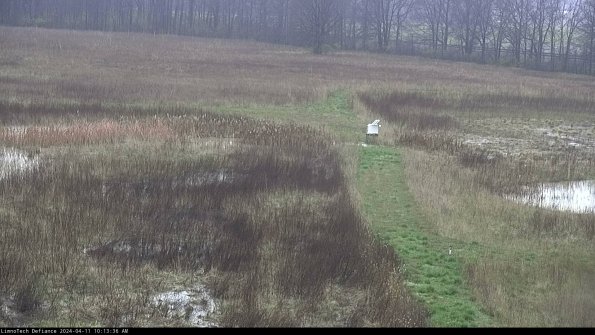 Cell 1 to 2_24-04-11_10-13-37-38