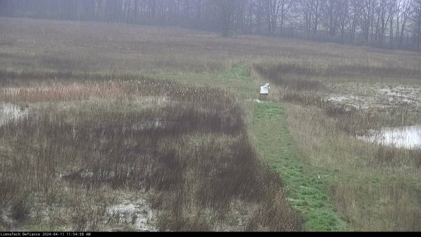 Cell 1 to 2_24-04-11_11-54-09-33