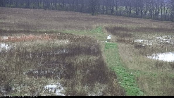 Cell 1 to 2_24-04-11_12-27-37-31