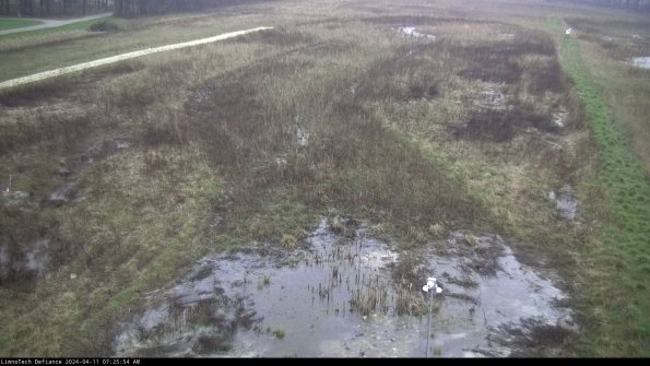 Cell 1_24-04-11_07-25-55-32