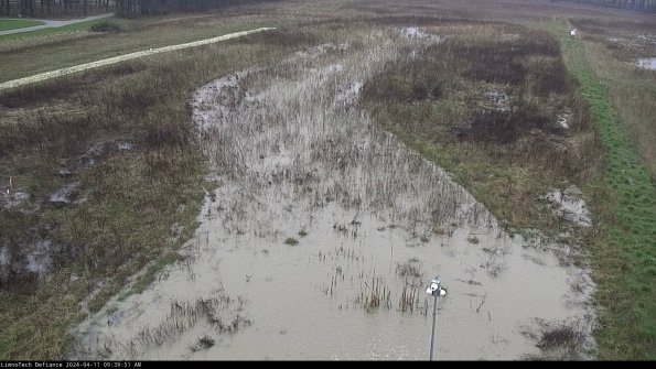 Cell 1_24-04-11_09-39-52-31