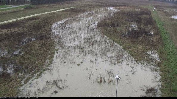 Cell 1_24-04-11_10-13-23-36