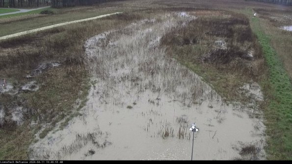 Cell 1_24-04-11_10-46-56-38