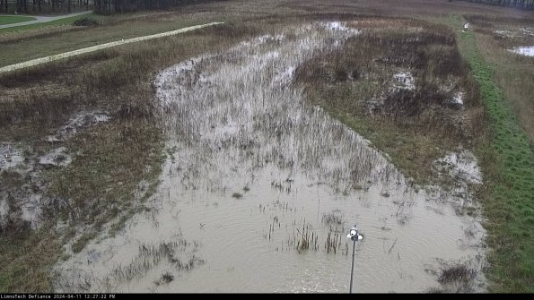 Cell 1_24-04-11_12-27-23-30