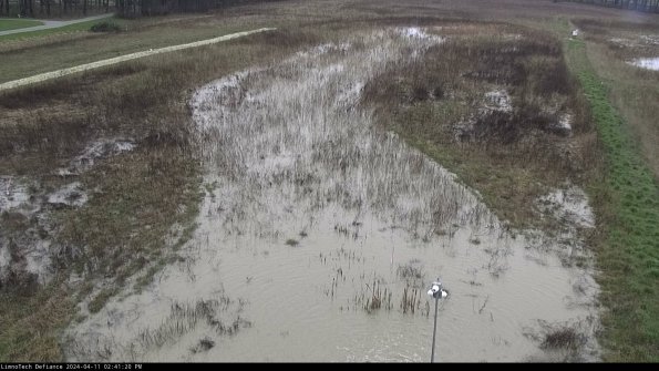 Cell 1_24-04-11_14-41-21-30