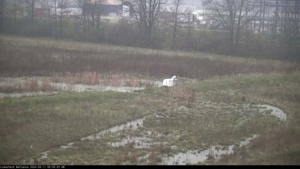 Cell 2 to 3_24-04-11_08-00-04-38