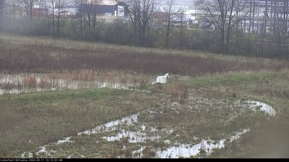 Cell 2 to 3_24-04-11_10-14-03-51