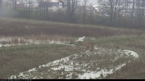 Cell 2 to 3_24-04-11_11-21-06-48