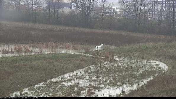 Cell 2 to 3_24-04-11_11-54-35-43