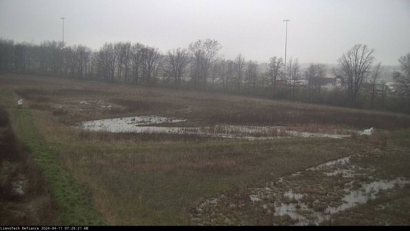 Cell 2_24-04-11_07-26-22-38