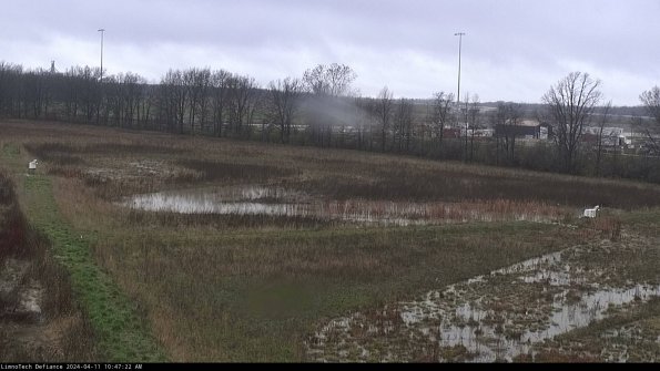 Cell 2_24-04-11_10-47-23-41