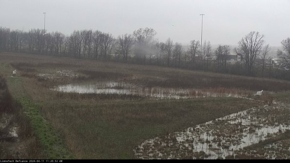 Cell 2_24-04-11_11-20-53-40