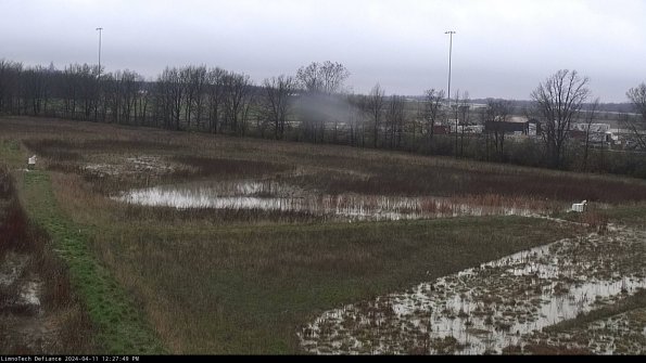 Cell 2_24-04-11_12-27-50-36