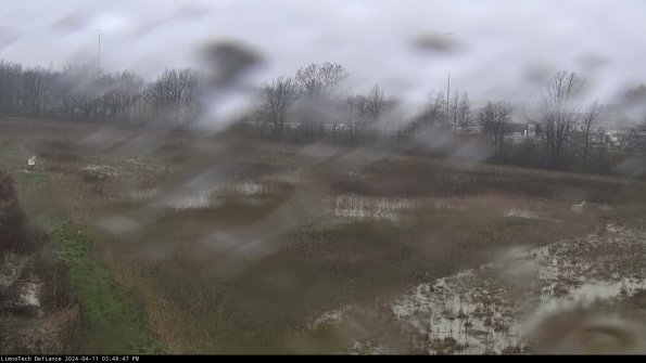 Cell 2_24-04-11_15-48-48-34