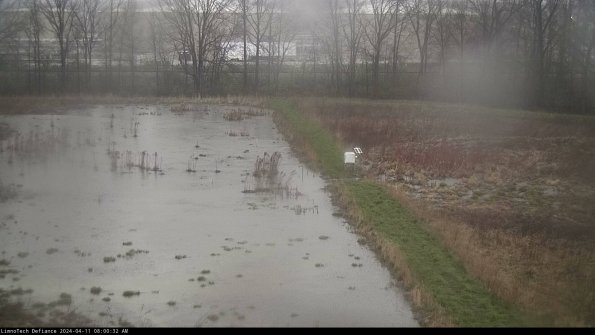 Cell 3 to 4_24-04-11_08-00-33-31