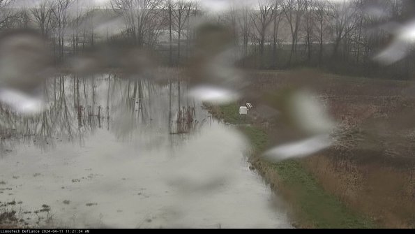 Cell 3 to 4_24-04-11_11-21-35-34