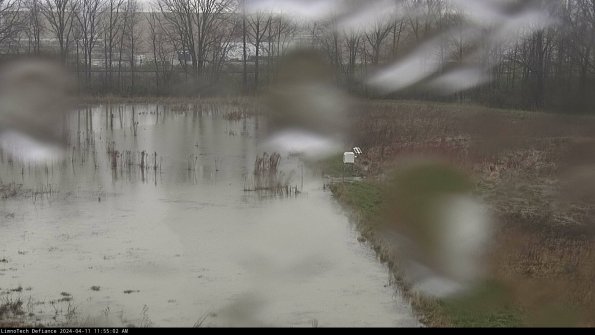 Cell 3 to 4_24-04-11_11-55-03-32