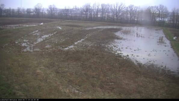 Cell 3_24-04-11_07-26-50-30