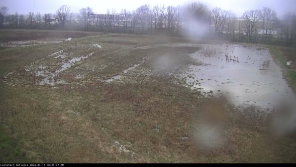 Cell 3_24-04-11_08-33-48-34