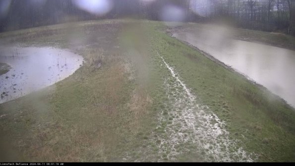 Cell 4 to Basin_24-04-11_08-01-17-32