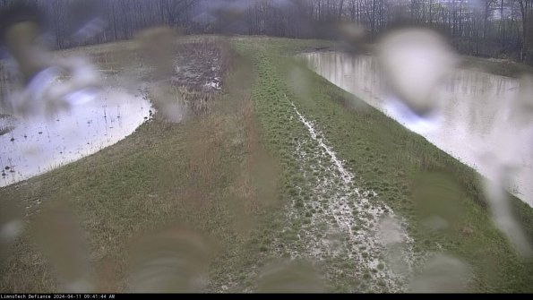 Cell 4 to Basin_24-04-11_09-41-45-33