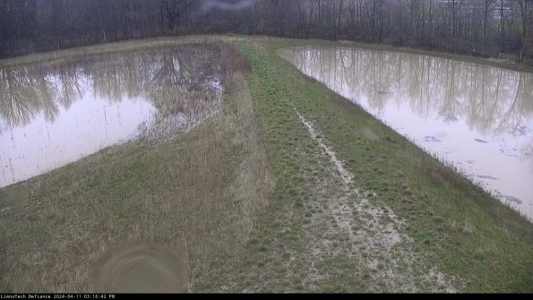 Cell 4 to Basin_24-04-11_15-16-43-34