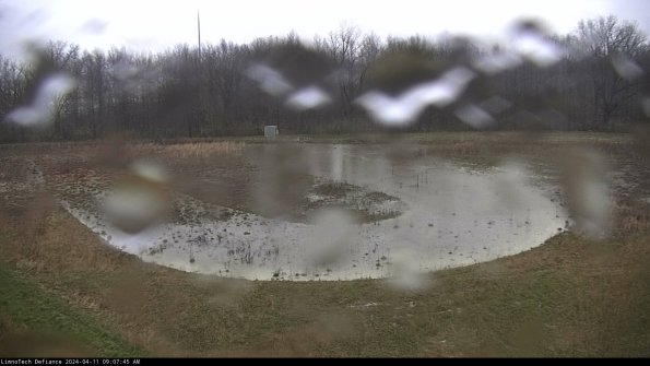 Cell 4_24-04-11_09-07-46-31