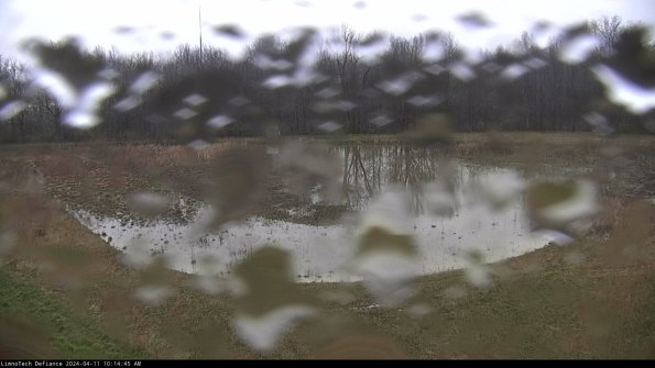 Cell 4_24-04-11_10-14-46-35