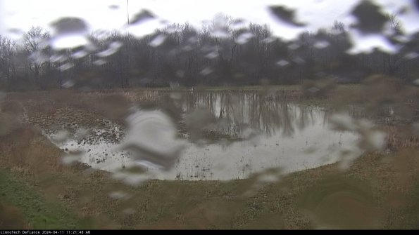 Cell 4_24-04-11_11-21-49-32