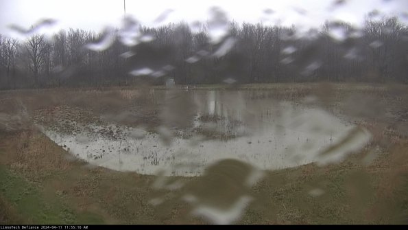 Cell 4_24-04-11_11-55-17-34