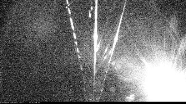 Hatch_24-04-11_20-52-46-31