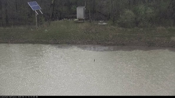 Basin Inflow_24-04-12_10-15-51-31