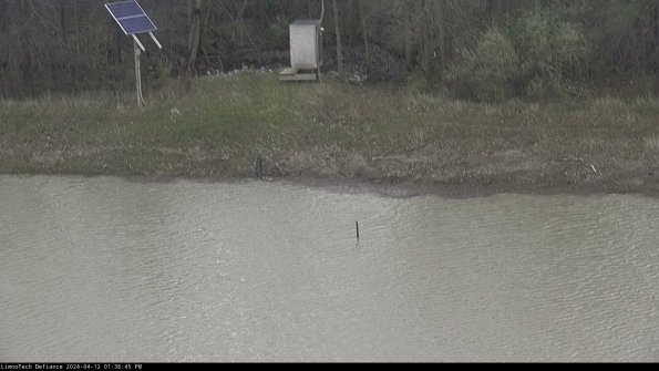 Basin Inflow_24-04-12_13-36-45-51