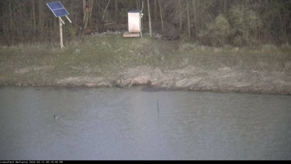 Basin Inflow_24-04-12_20-18-41-30