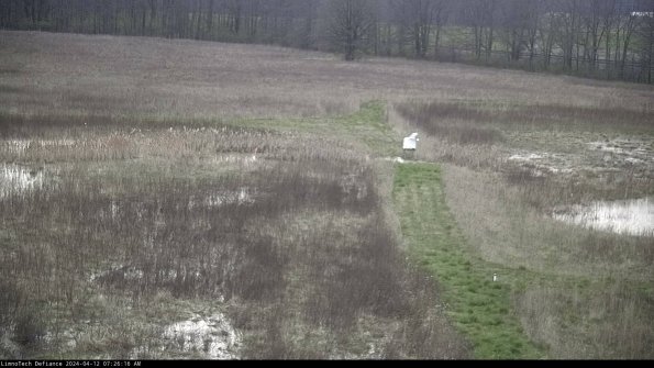 Cell 1 to 2_24-04-12_07-26-17-30