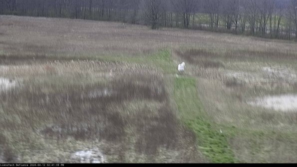 Cell 1 to 2_24-04-12_14-41-40-32