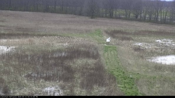 Cell 1 to 2_24-04-12_15-15-10-34