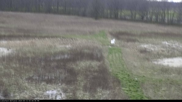 Cell 1 to 2_24-04-12_15-48-39-33